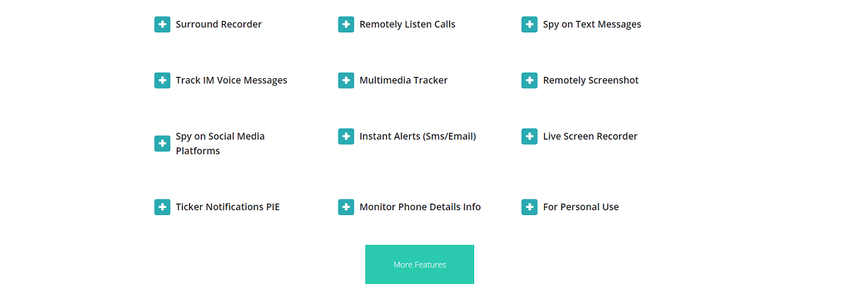  Features of BlurSPY